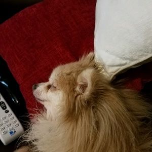 Meet your Posher, Joyce